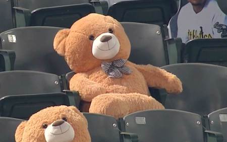 MLB》彈性真好 泰迪熊在觀眾席被界外球爆頭