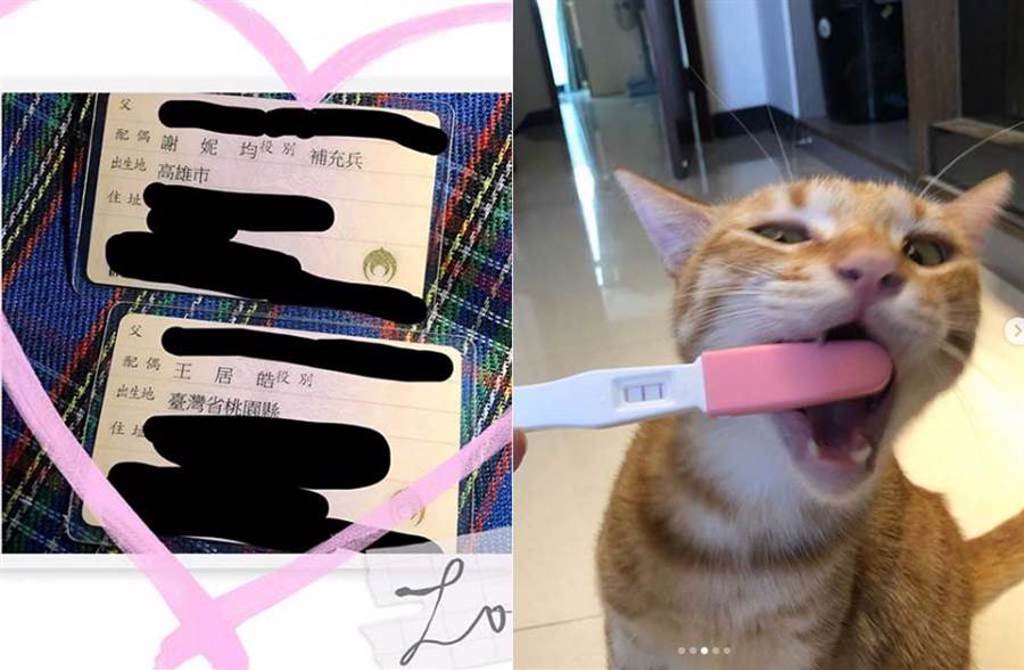 妮妮po照證實兩人已登記結婚，還加碼曝光家中貓咪對於主人懷孕的反應。(取材自妮妮IG)