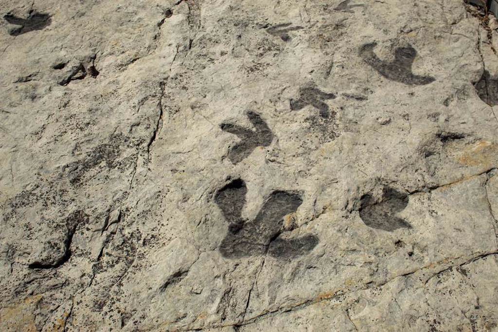 落石上出現28個詭異凹洞，沒想到竟是遠古動物的足跡(示意圖/達志影像)