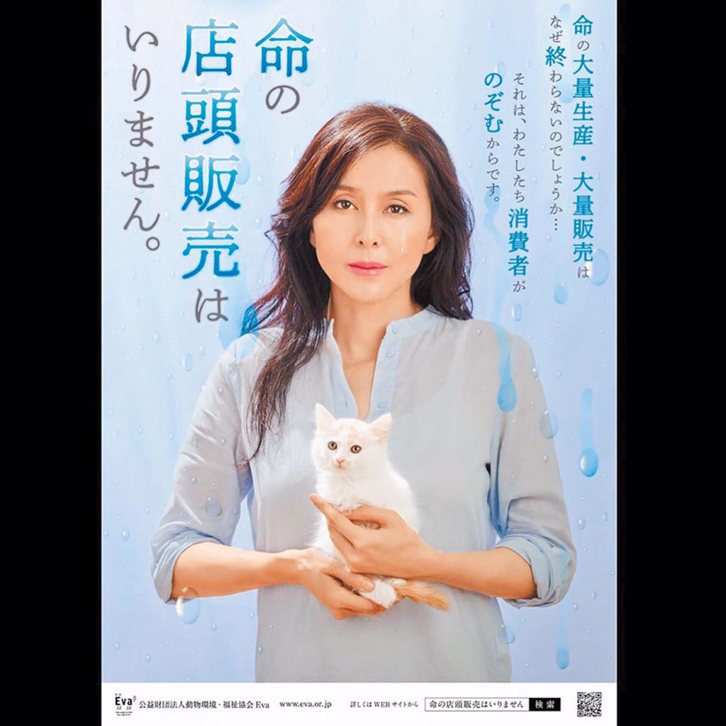 杉本彩長年推動保護棄養貓狗，積極參與公益事業。（摘自IG）