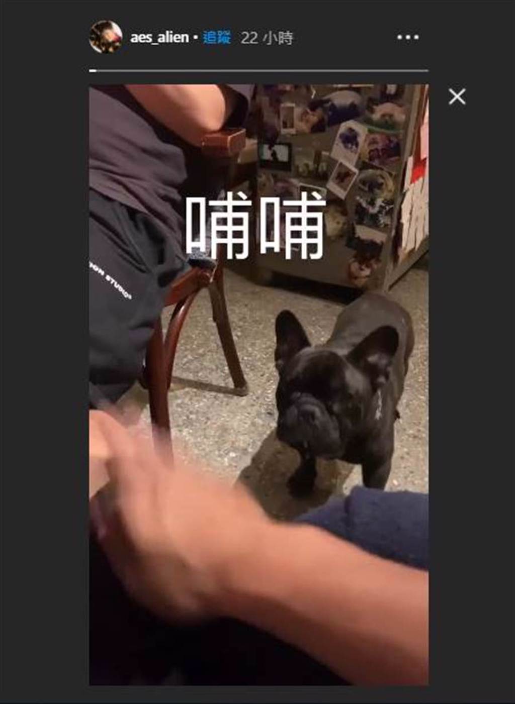 黃鴻升昨下午才在IG限時動態曬狗狗影片。（圖／取材自黃鴻升Instagram）