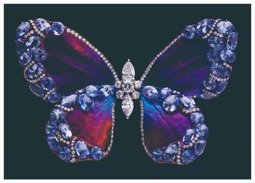 圖五：AKACHEN白鑽藍寶紫蝶胸針，藍寶石、鑽石。（AKACHEN提供）