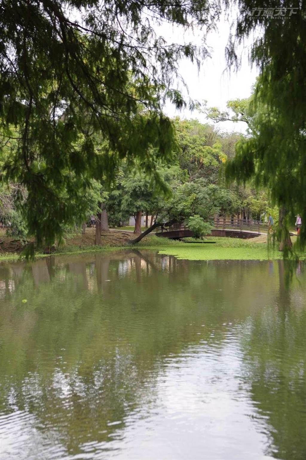 綠意盎然的巴克禮紀念公園是台南都會難得的一塊綠地。(圖/行遍天下提供)