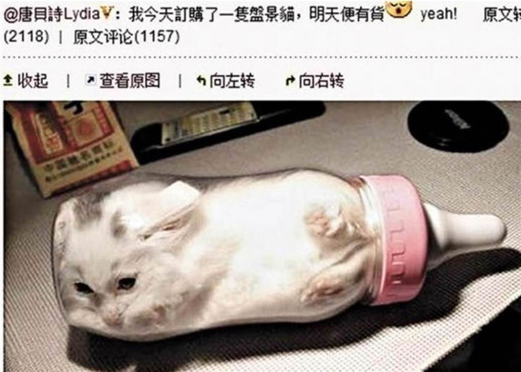 唐貝詩曾開玩笑在微博上傳小貓塞奶瓶照，雖然澄清是假照片，但仍被罵翻。(翻攝自微博)