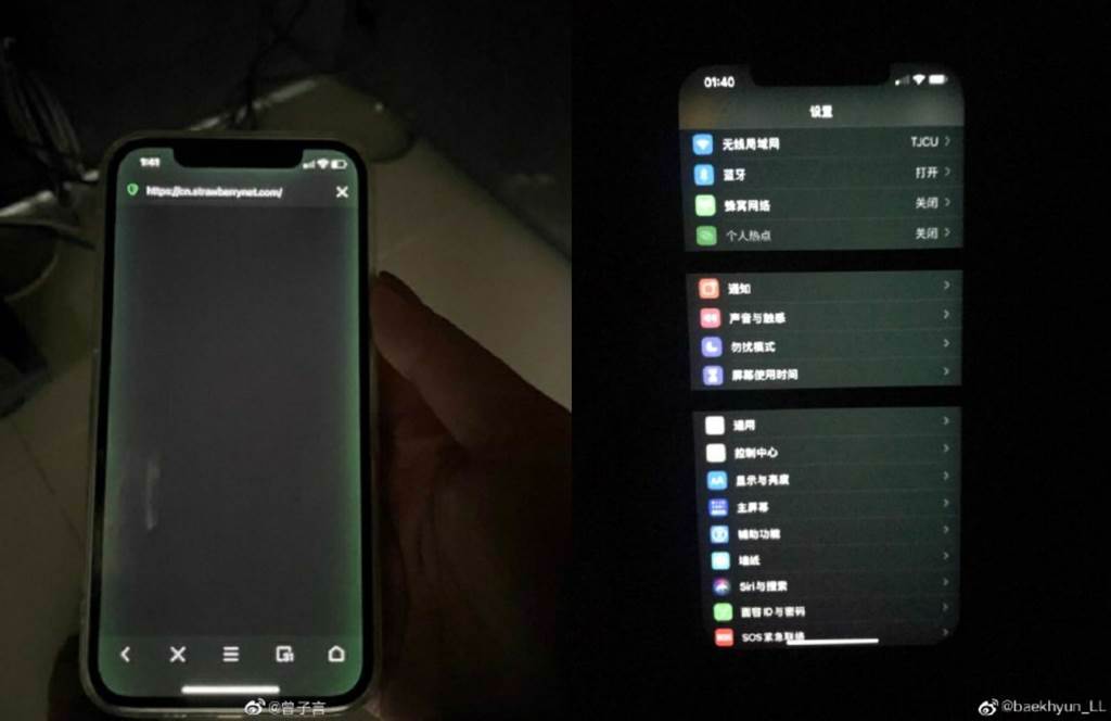微博網友分享iPhone 12系列出現綠螢幕災情。（摘自微博）