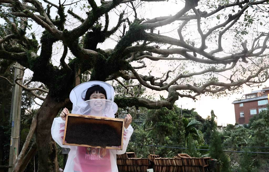 還可以到到牧蜂人家，穿上養蜂服拍照打卡。（陳信翰攝）