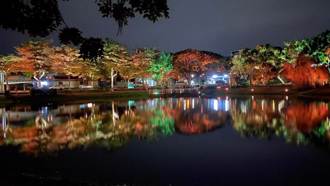 月津港燈節奠定「最美水岸」打造24節氣意象夜間照明