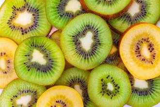 黃、綠奇異果哪個好？營養師PO圖揭真相：防癌吃這種