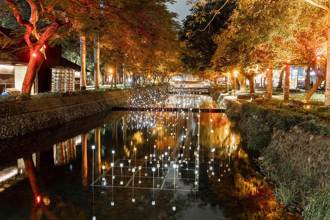 夜訪護城河看浪漫螢火蟲燈、煙花樹 還有東門城耶誕音樂會