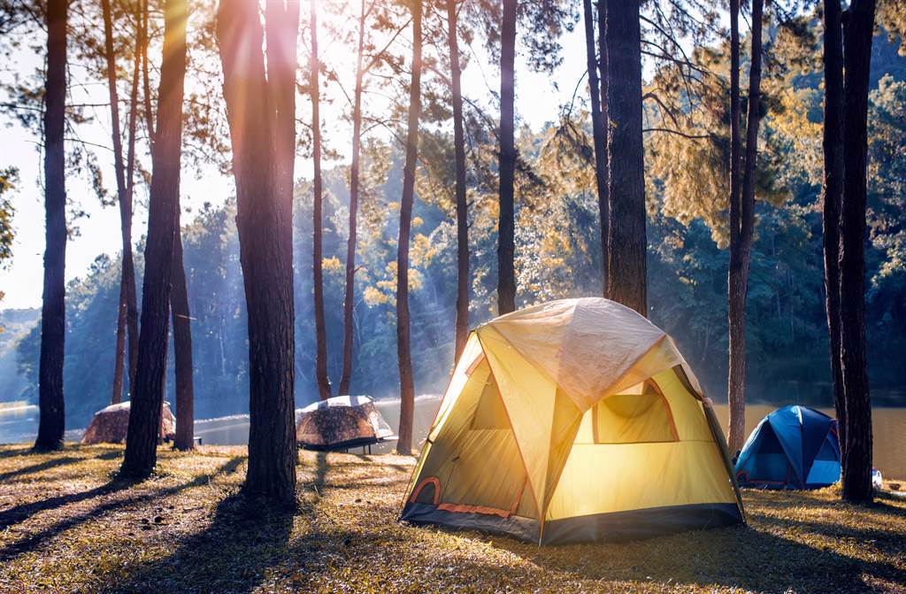 泰國一名男子日前到郊外露營，一覺起來後驚覺帳篷上爬滿了盲蛛。(示意圖/達志影像)