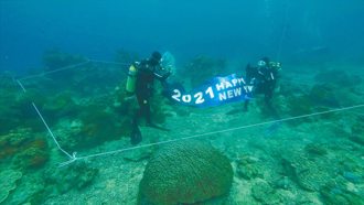 綠島潛水跨年 魚兒相伴倒數