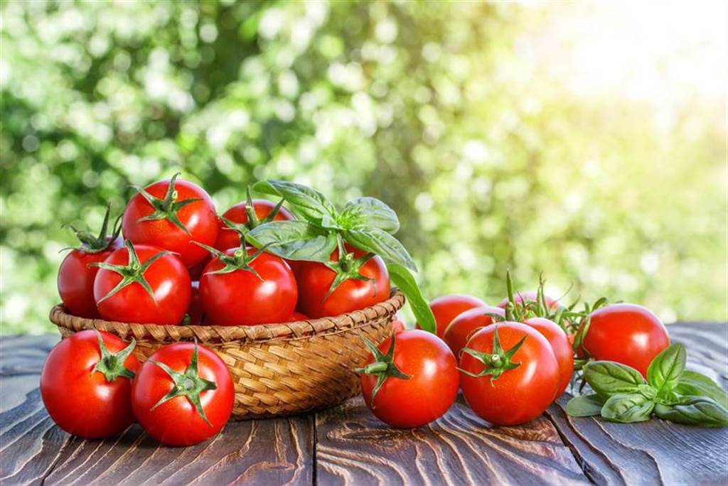 番茄養顏美容、抗老抗氧，還能得到健康營養，是個天然紅寶藏。（達志影像/shutterstock)