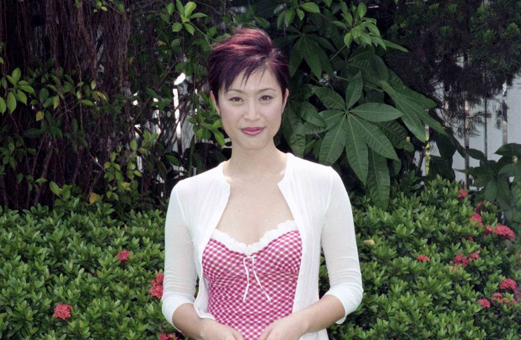 陳法蓉以選美闖出名氣，並接連在電影、電視以及綜藝有不俗的成績。（圖／本報系資料照片）