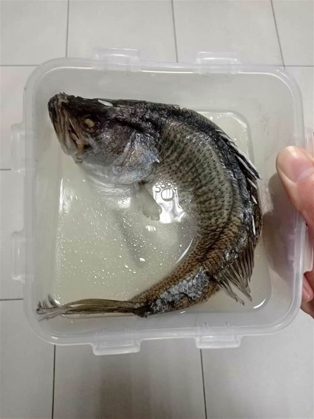 網友分享「最能保留全聯鱸魚原味的料理方法」，要將微波爐放入保鮮盒，並用微波爐加熱三次就能上桌。(摘自全聯消費經驗老實說)