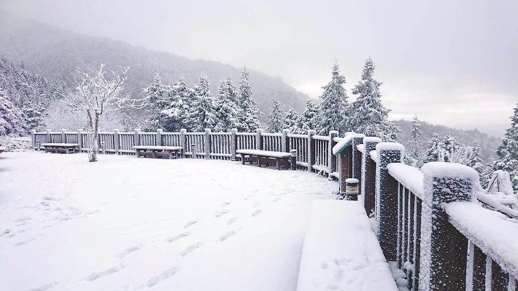 太平山國家森林遊樂區已被白雪覆蓋，變銀白色世界。（羅東林管處提供／胡健森宜蘭傳真）