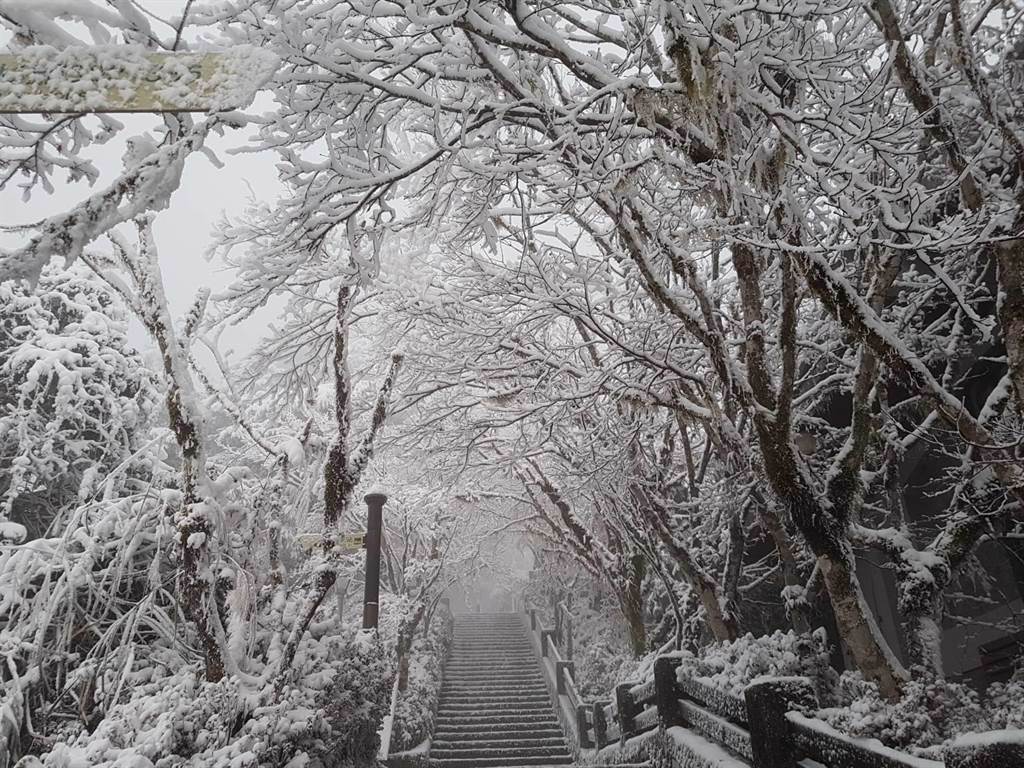 雖然因水氣不足已停止下雪，但低溫持續，太平山上仍舊是白茫茫 的銀白色世界。（羅東林管處提供／胡健森宜蘭傳真）