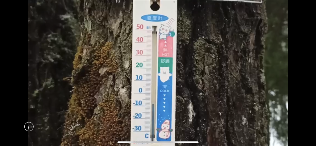 福壽山農場天池清晨低溫下探零下8度。（福壽山農場提供／王文吉台中傳真）