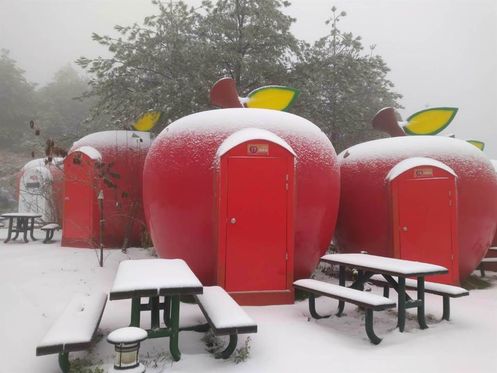 福壽山農場露營區再度降雪，蘋果屋宛如灑了糖霜。（福壽山農場提供／王文吉台中傳真）