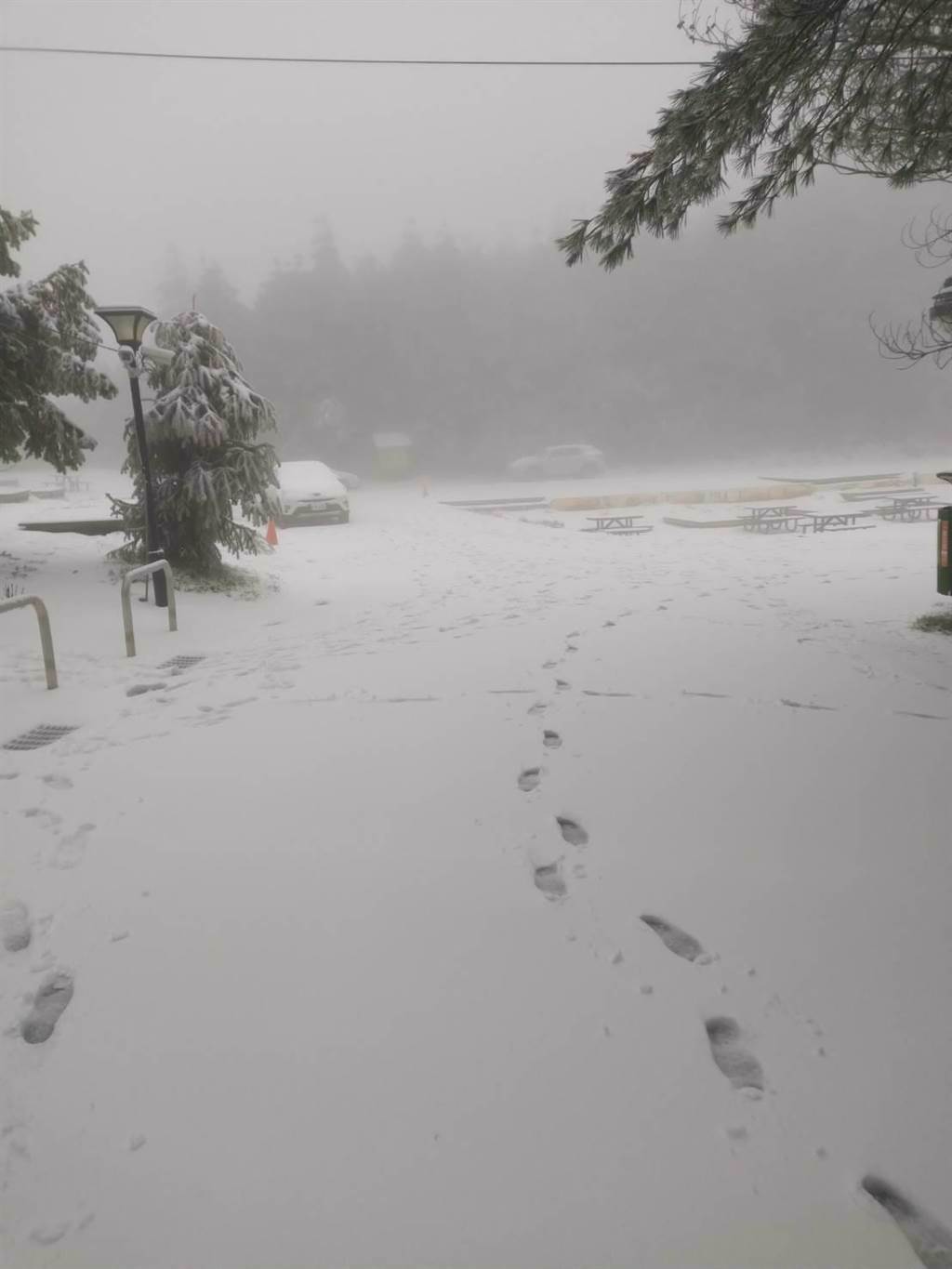 福壽山農場今天凌晨再度降雪，海拔2574公尺的露營區積雪達5公分。（福壽山農場提供／王文吉台中傳真）