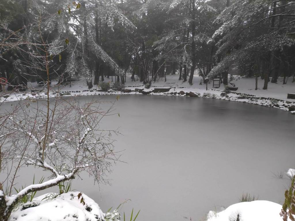 福壽山農場今天凌晨再度降雪，天池結冰。（福壽山農場提供／王文吉台中傳真）