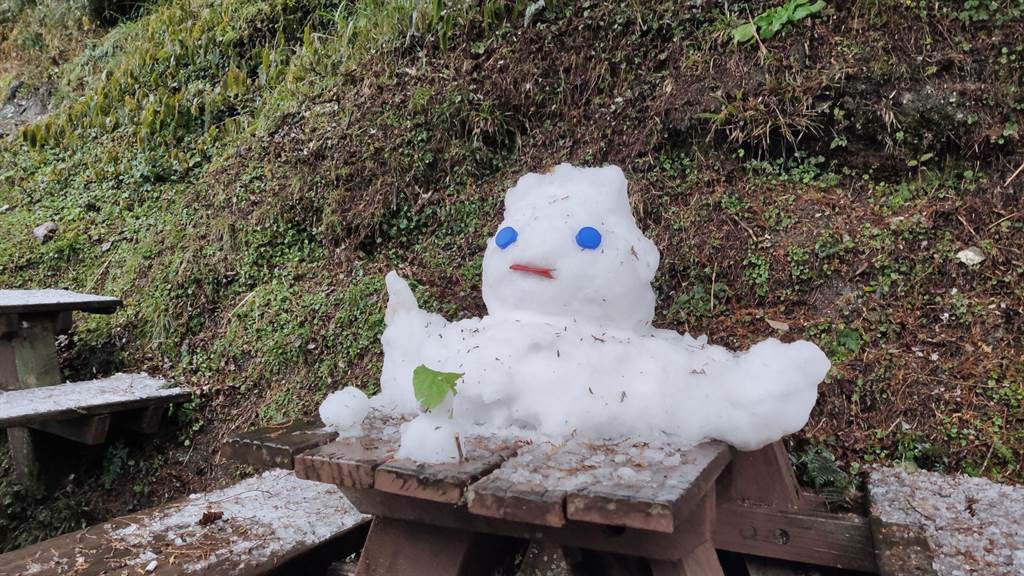 連續強烈寒流來襲，位於南台灣的台東縣海端鄉南横向陽森林遊樂區，其中1座「最長壽」的雪人，已經活6天了。（蔡旻妤攝）