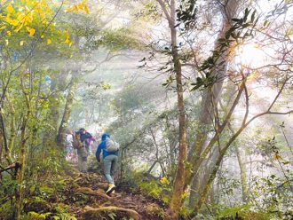 最魔幻的森林 山友安全挑戰塔曼山