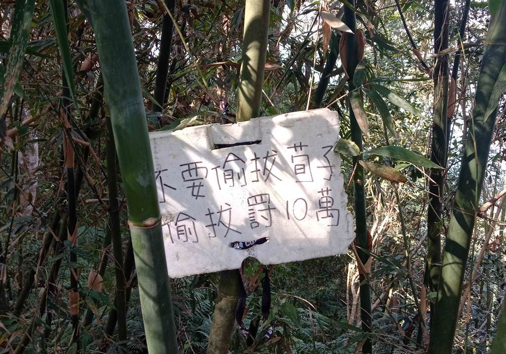 農民寫告示牌警告偷筍賊，誤將筍子寫成「荀子」，讓網友看了全笑歪：太不尊重古人了。（圖／原PO提供）