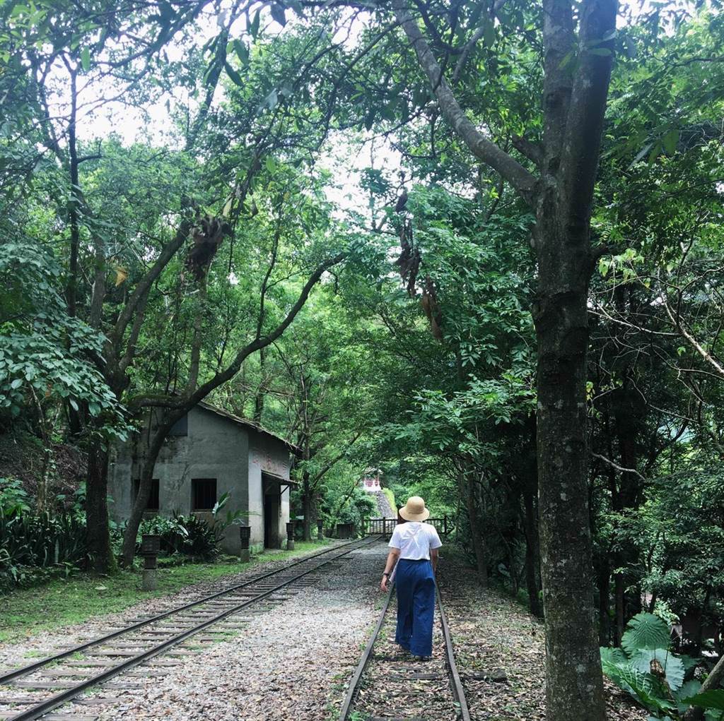 林田山林業園區中，保有過去運輸木材的老舊鐵道，民眾可於當中體驗林場早期風華。（羅亦晽攝）