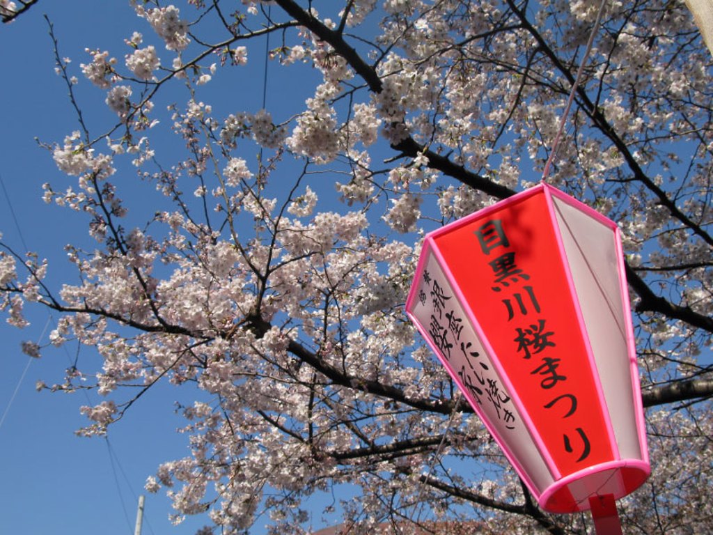目黑川櫻花祭（圖／EVENT365生活誌提供）