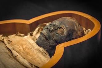 2千年前木乃伊嘴含金舌頭 考古學家曝驚人用途：和冥王溝通