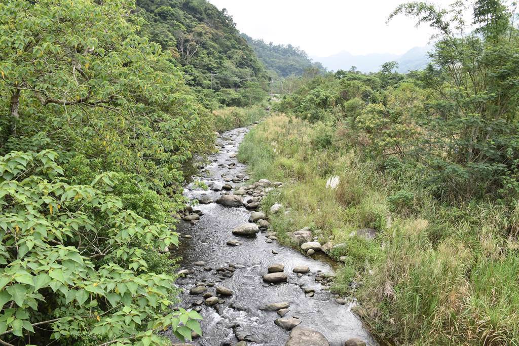 蓬萊溪是潔淨又生態豐富的美麗溪河。（謝明俊攝）
