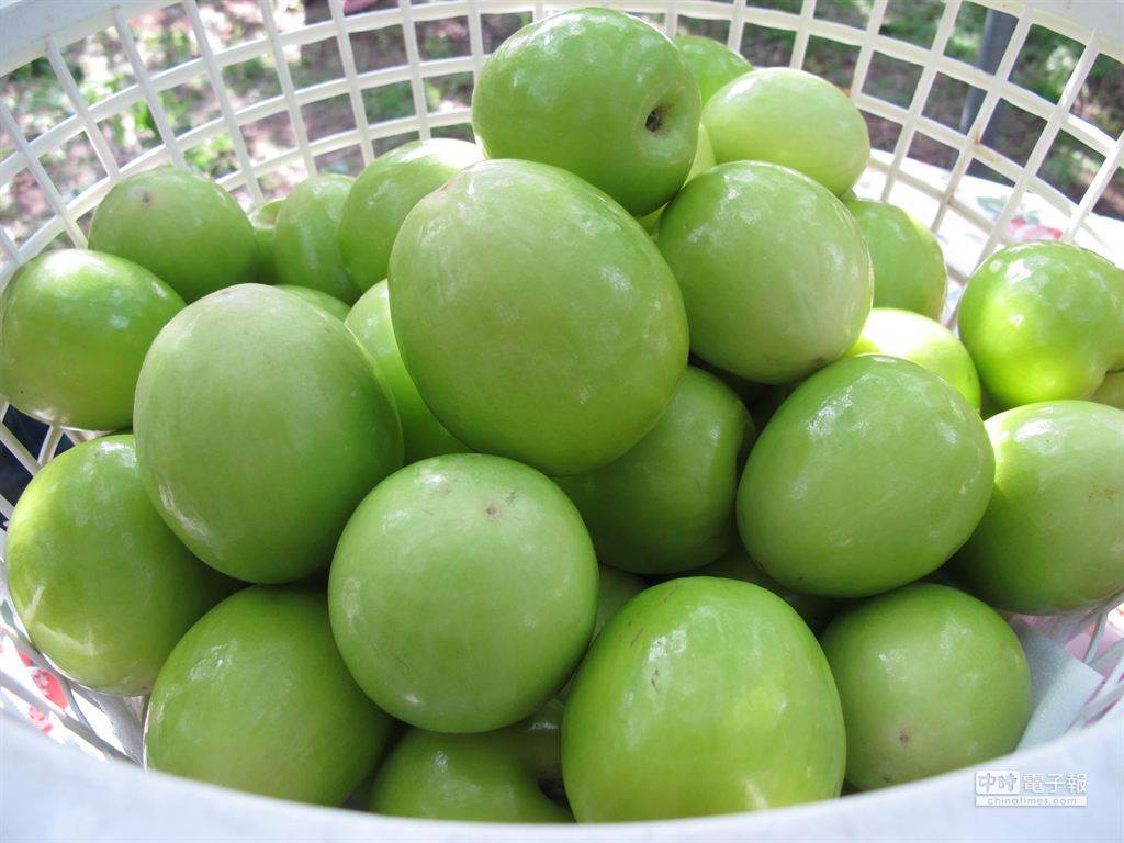 維生素C比檸檬高，抗氧化又助順暢，有「台灣青蘋果」暱稱的蜜棗，專家傳授挑選和切盤秘訣。(圖/本報系資料照片 柯宗緯攝）
