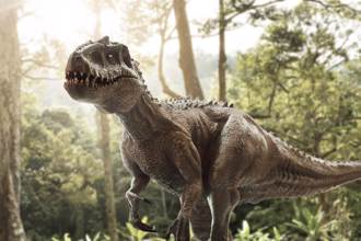 恐龍6千萬年前如何一夕絕種？專家找到關鍵證據
