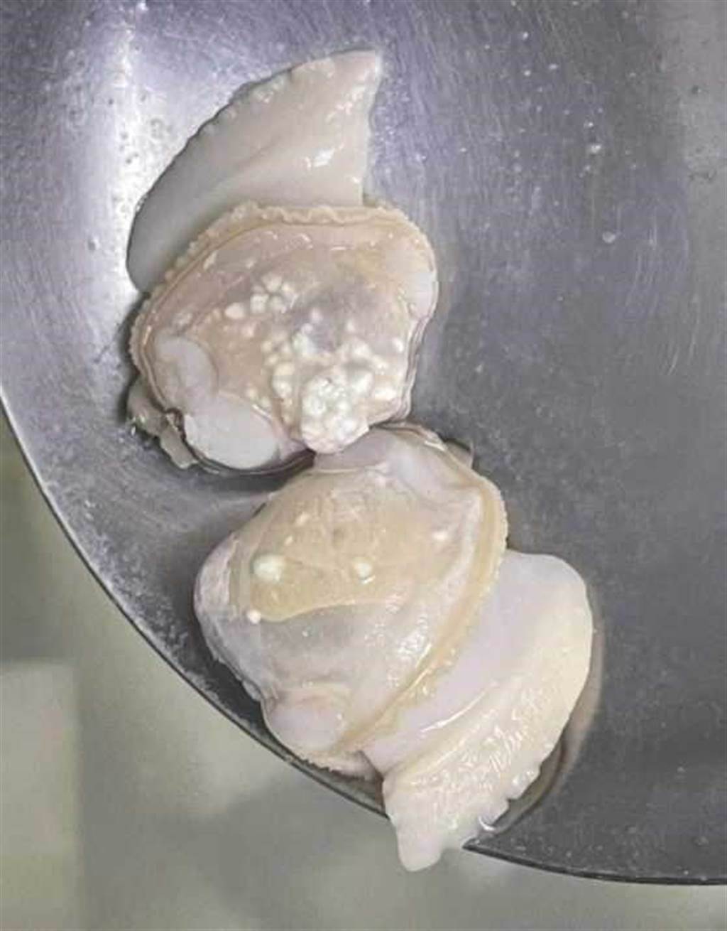 一名網友將蛤蜊煮熟後，驚訝發現有奇怪的白色顆粒。（圖／翻攝「爆系知識家」臉書）