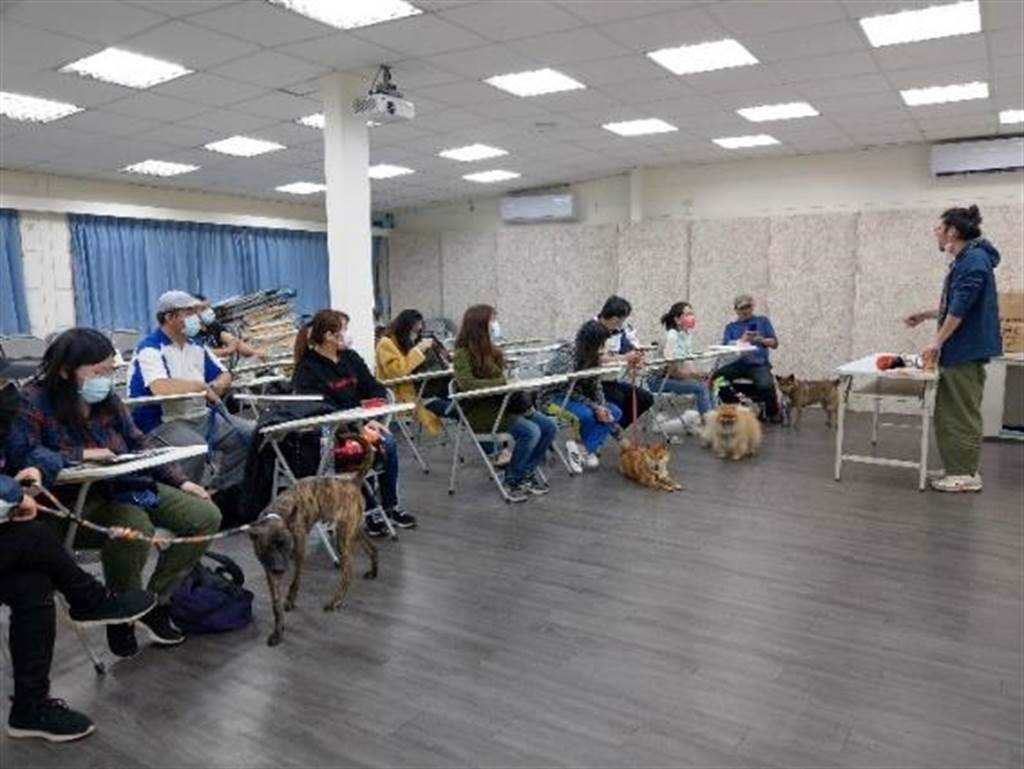 板橋動物生命教育園區開設毛寶貝訓練課程，為飼主解決毛寶貝惱人問題。（新北市動保處提供）