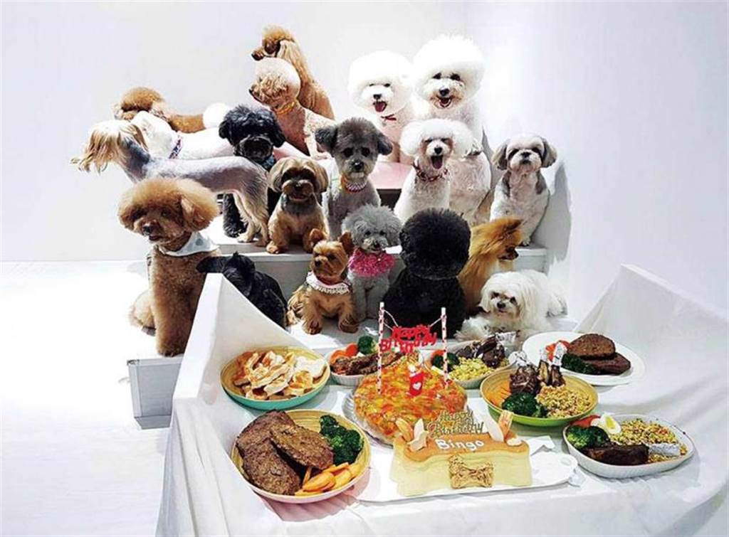 吳宗憲曾幫BINGO辦慶生趴，邀來許多狗朋友陪牠吃生日大餐。（圖／翻攝自吳宗憲臉書）
