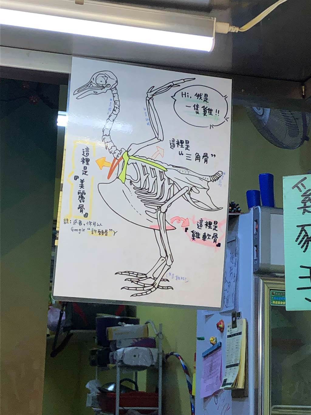 鹽酥雞攤驚見全雞骨骼構造圖。(翻攝自 臉書「路上觀察學院」)