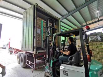 台鳳梨外銷受阻 旅外台人訂25公噸貨銷新加坡