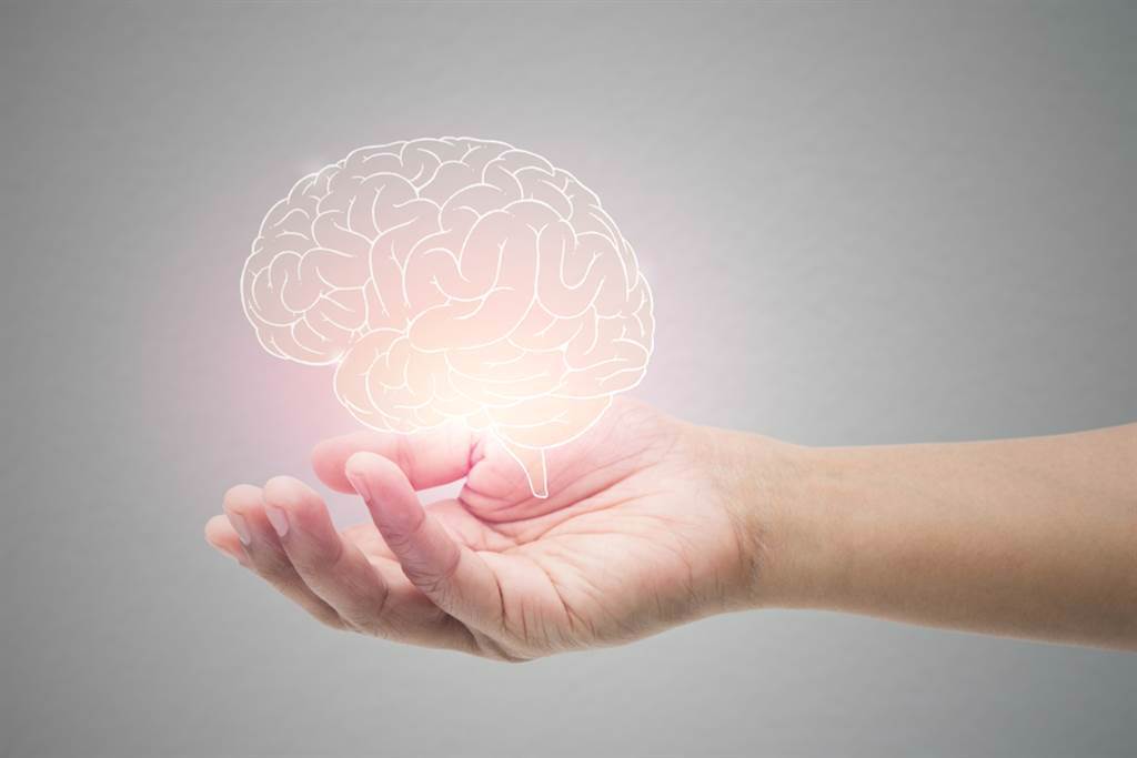 腦袋卡卡、神經大條？ 增加腦部BDNF蛋白是護腦關鍵。(示意圖/Shutterstock)