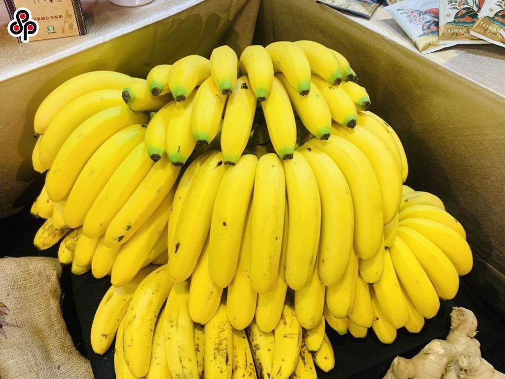 近日傳出我方香蕉銷日農藥百克敏超標，遭日方貿易商回收銷毀。（報系資料照）