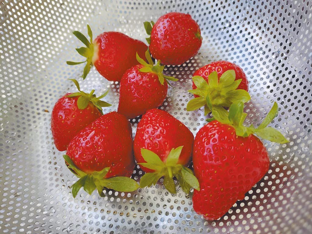 新光醫院總務部營養課股長許為捷表示，洗草莓時不要把蒂頭拔掉，避免農藥污染到果實內部。（讀者提供）