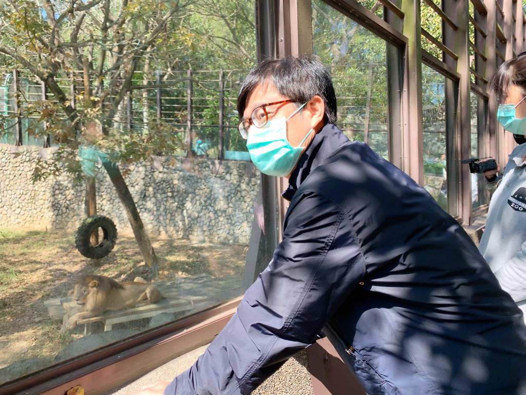 高雄市長陳其邁2月底到壽山動物園，探訪萬獸之王「小巴」生活情況。（柯宗緯攝）