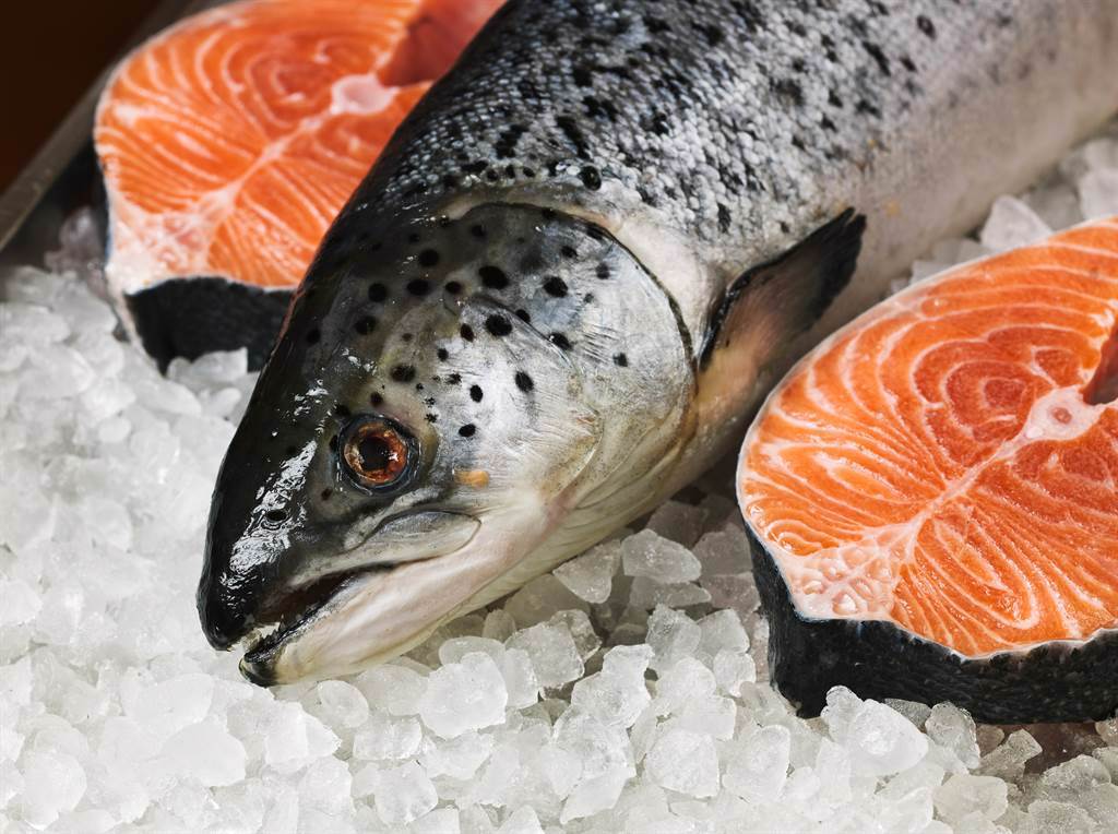 水產常見魚類組織胺、河豚毒素中毒，毒物科醫師傳授挑選魚貨與保存的方法，避免吃壞肚子。(示意圖/Shutterstock)