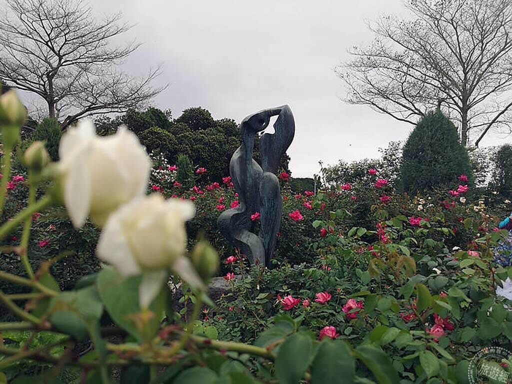臺北玫瑰園擁有歐洲浪漫的風情(洪書瑱攝)