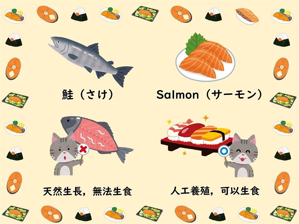 日台交流協會也搭上這波鮭魚熱，揭露有關鮭魚的冷知識。（圖擷自日台交流協會）