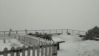 玉山下雪成銀白仙境  積雪1公分 降雪持續中