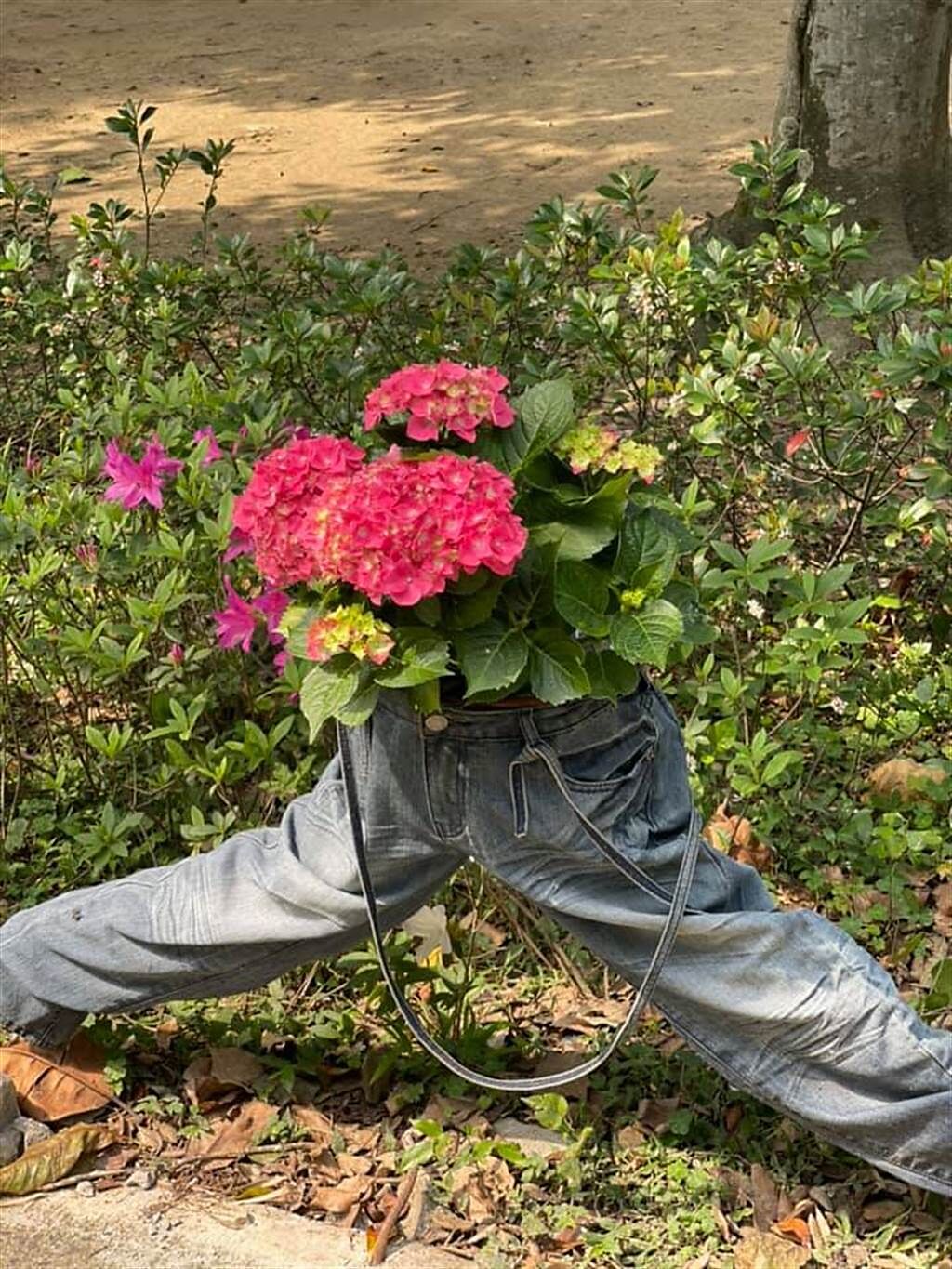 大安森林公園本月藝術裝置，用牛仔褲當花朵的盆栽。（圖／Stella莊提供）