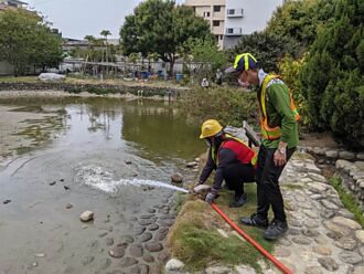 乾涸導致古蹟林宅魚群暴斃 中市環保局緊急送水救命