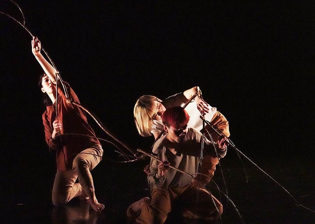 編舞家林季萱近期作品〈晨昏線〉，讓舞者與樹枝共舞，沒有生命的樹枝，像是活了起來。（舞蹈空間舞團提供）