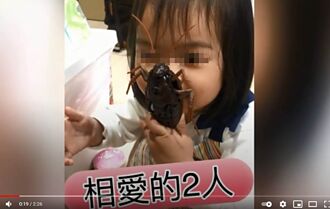 訓練1歲女嬰玩蟑螂 女星公布2年後成果超震撼